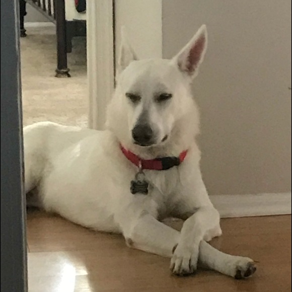 Meet your Posher, Edwin - Picture 1 of 1